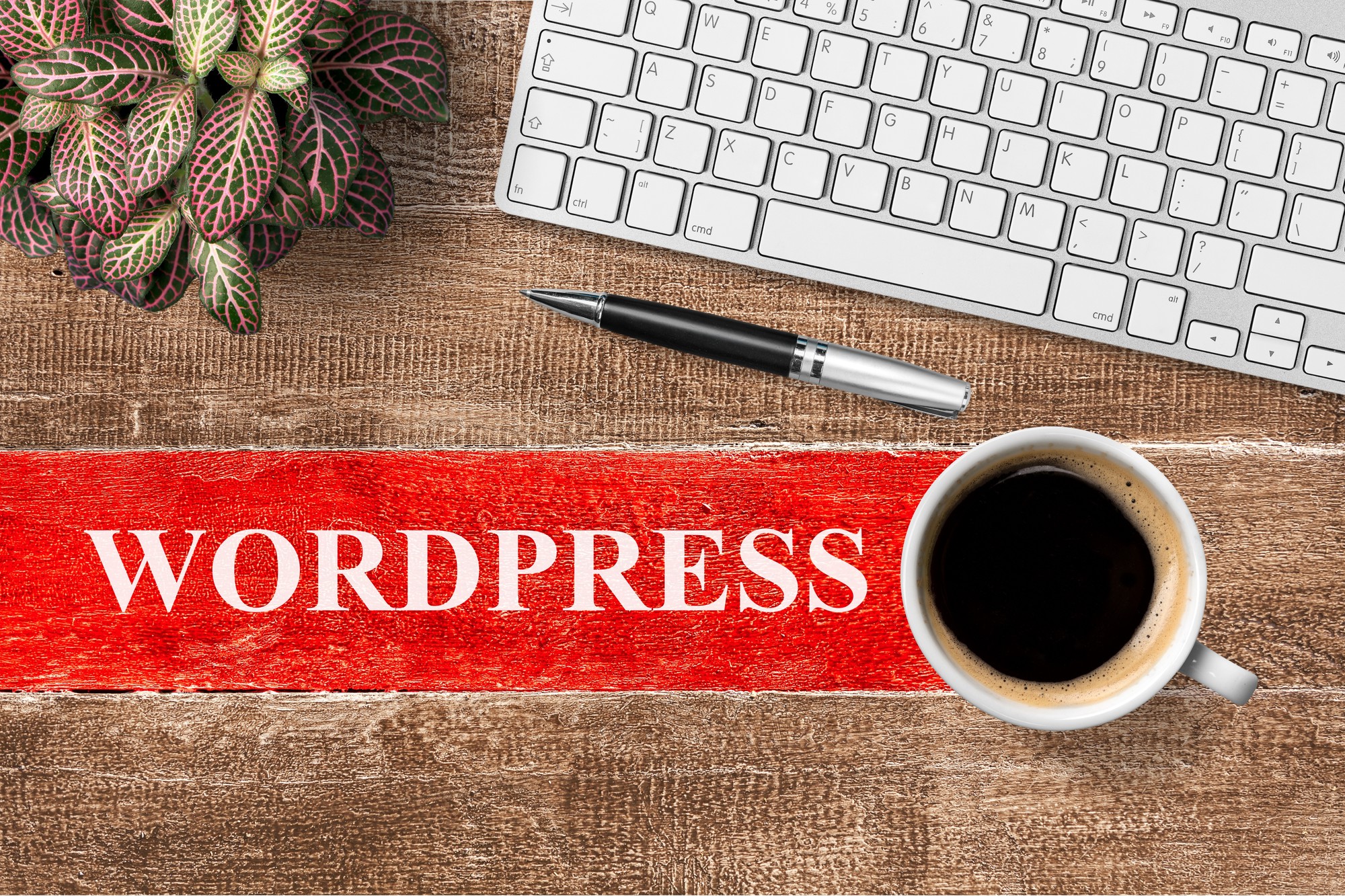 Which One Is Better: A WordPress Plugin Or A Functions.Php File?